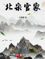 《北宋官家》月麒麟，北宋、朝堂、权谋、政斗、军事，醒掌天下权，醉卧美人膝，五千年风华烟雨，是非成败转头空！